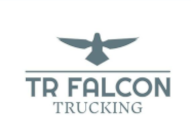 Logo for TR FALCON INVESTMENT LLC